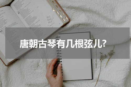 唐朝古琴有几根弦儿?