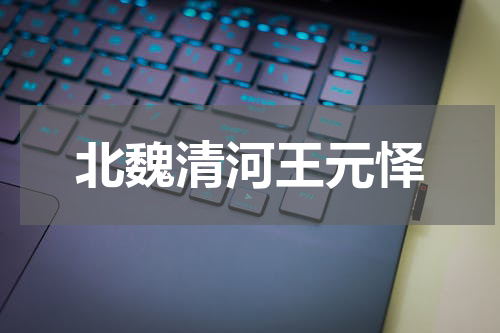 北魏清河王元怿