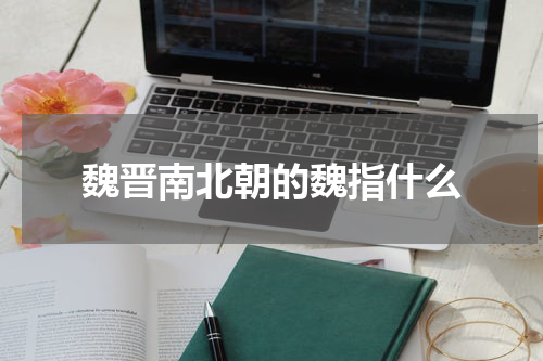 魏晋南北朝的魏指什么