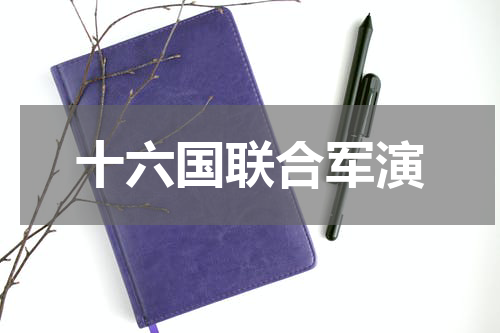 十六国联合军演