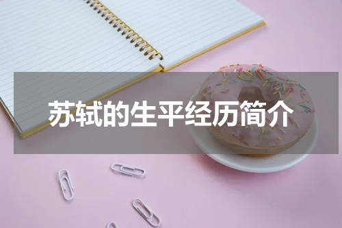 苏轼的生平经历简介