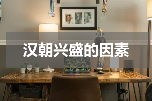 汉朝兴盛的因素