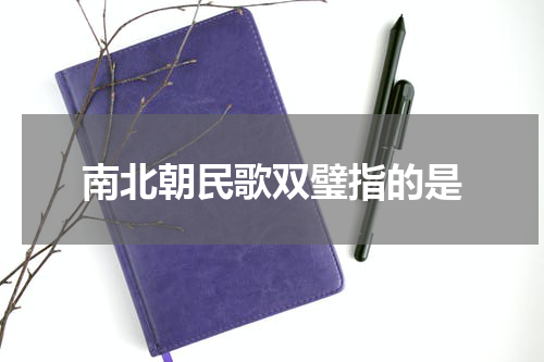 南北朝民歌双璧指的是