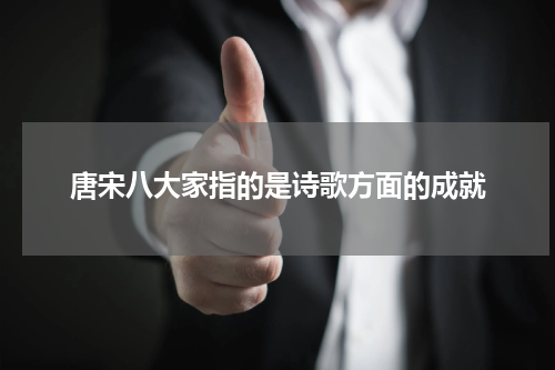 唐宋八大家指的是诗歌方面的成就