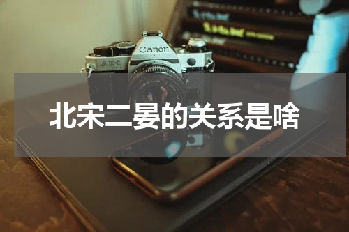 北宋二晏的关系是啥