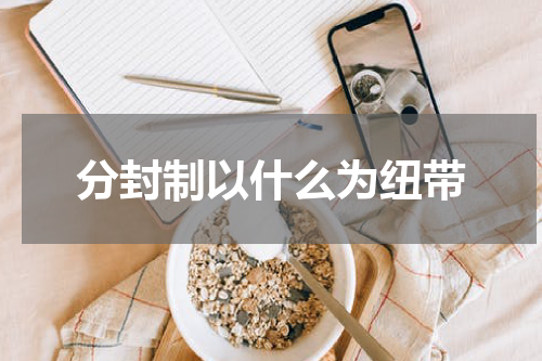 分封制以什么为纽带