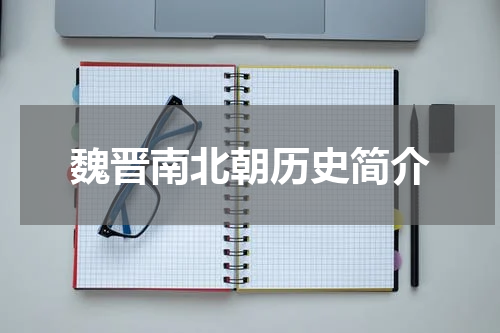 魏晋南北朝历史简介