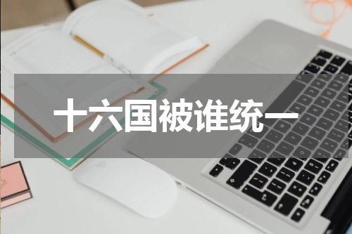 十六国被谁统一