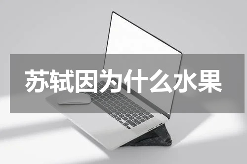 苏轼因为什么水果