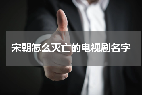 宋朝怎么灭亡的电视剧名字