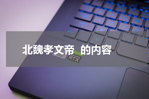 北魏孝文帝  的内容