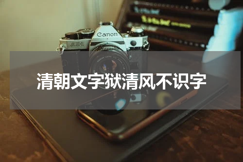 清朝文字狱清风不识字