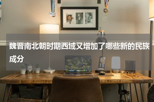 魏晋南北朝时期西域又增加了哪些新的民族成分