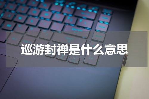 巡游封禅是什么意思