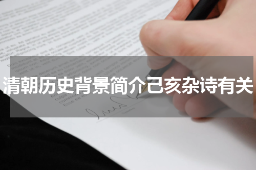 清朝历史背景简介己亥杂诗有关