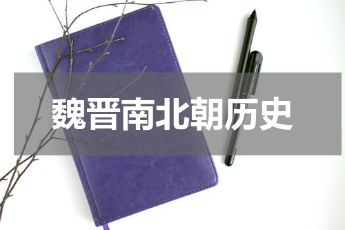 魏晋南北朝历史