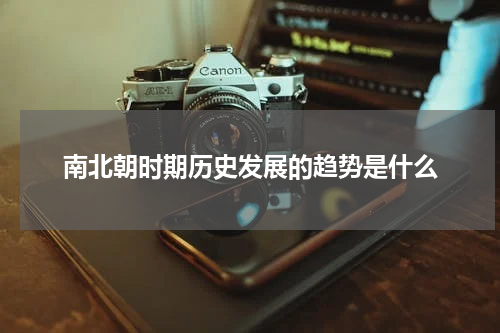 南北朝时期历史发展的趋势是什么