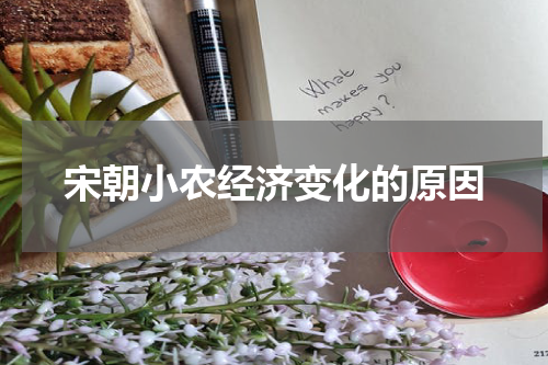 宋朝小农经济变化的原因