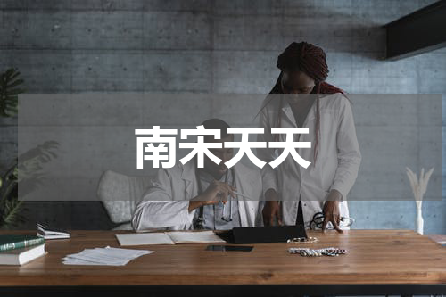 南宋天天