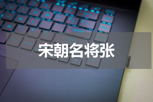 宋朝名将张