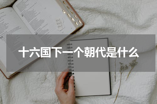 十六国下一个朝代是什么