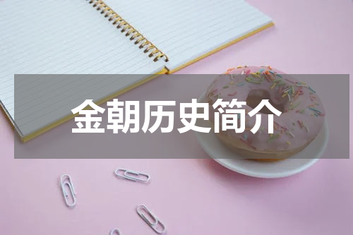 金朝历史简介