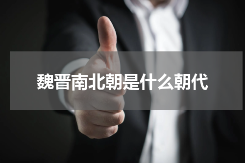 魏晋南北朝是什么朝代