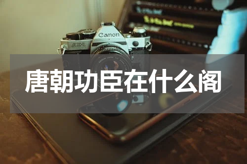 唐朝功臣在什么阁