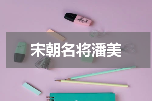 宋朝名将潘美
