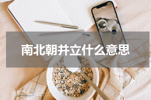 南北朝并立什么意思