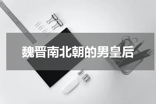 魏晋南北朝的男皇后