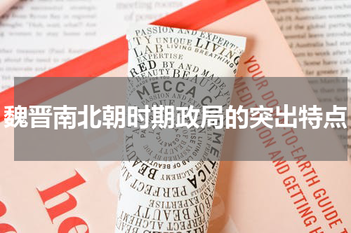 魏晋南北朝时期政局的突出特点
