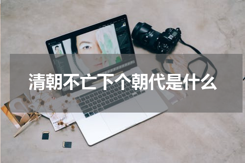 清朝不亡下个朝代是什么