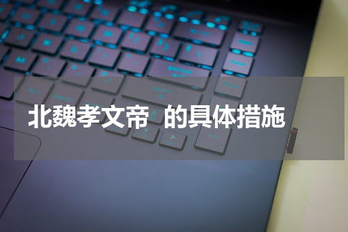 北魏孝文帝  的具体措施