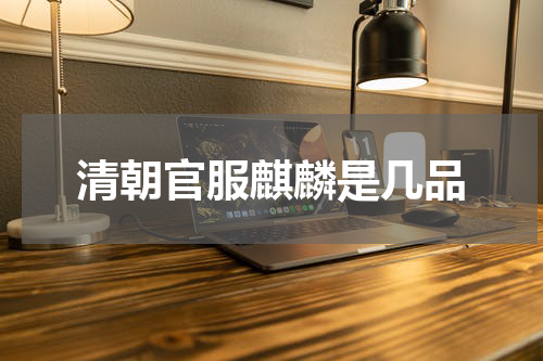 清朝官服麒麟是几品