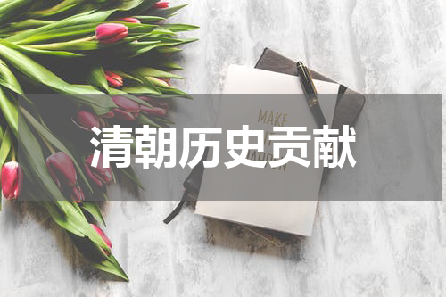 清朝历史贡献