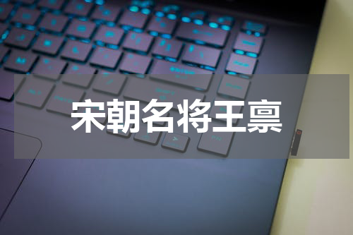 宋朝名将王禀