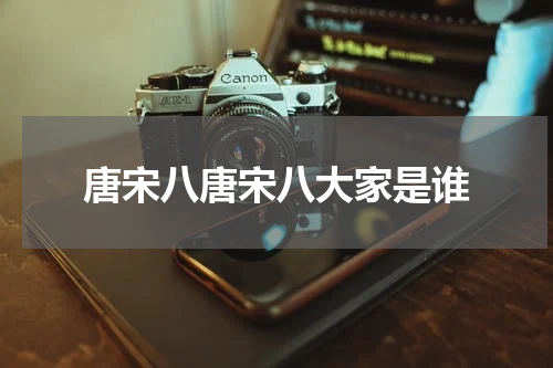 唐宋八唐宋八大家是谁
