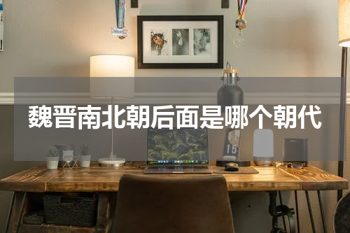 魏晋南北朝后面是哪个朝代
