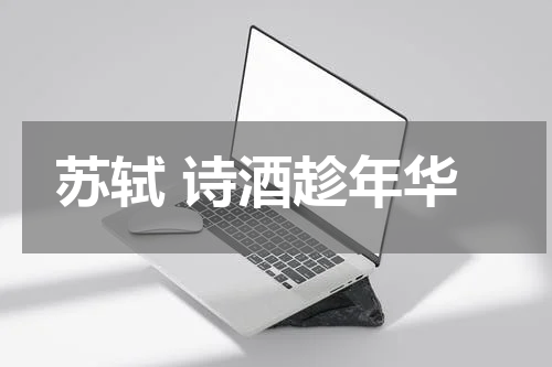 苏轼 诗酒趁年华