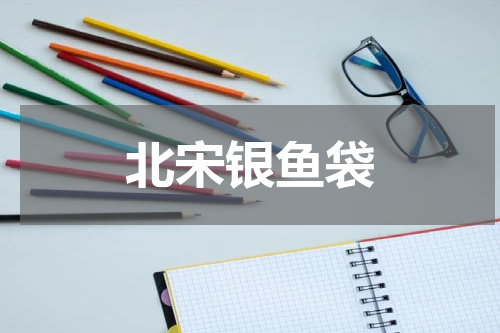 北宋银鱼袋
