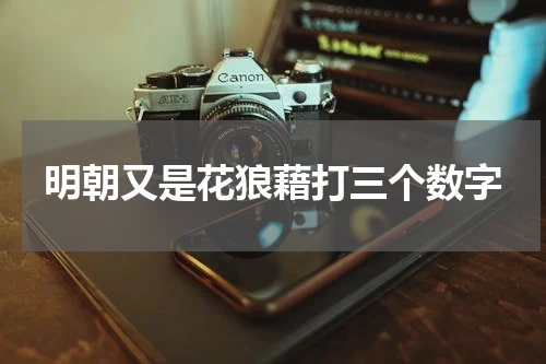 明朝又是花狼藉打三个数字