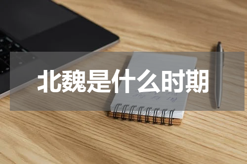 北魏是什么时期
