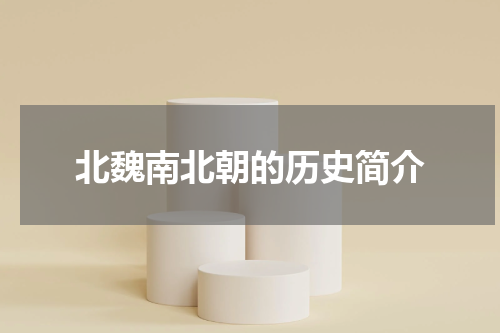 北魏南北朝的历史简介