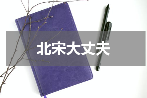 北宋大丈夫