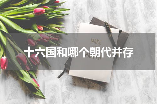 十六国和哪个朝代并存