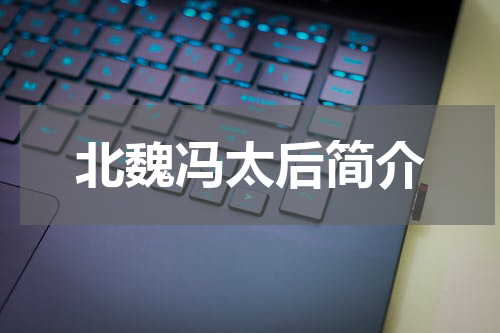 北魏冯太后简介