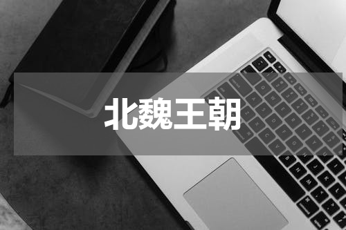 北魏王朝