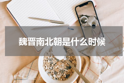 魏晋南北朝是什么时候