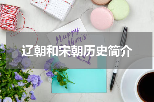 辽朝和宋朝历史简介